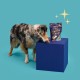 Lily's Kitchen Wet Food for Adult Dogs with Natural Ingredients - Tin - Feast with Three Types of Poultry for Small, Medium and Large Dogs 6 x 400 g Lily's Kitchen Wet Food for Adult Dogs with Natural Ingredients - Tin - Feast with Three Types of Poultry for Small, Medium and Large Dogs 6 x 400 g