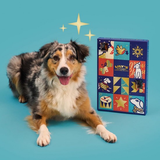 Lily's Kitchen Wet Food for Adult Dogs with Natural Ingredients - Tin - Feast with Three Types of Poultry for Small, Medium and Large Dogs 6 x 400 g Lily's Kitchen Wet Food for Adult Dogs with Natural Ingredients - Tin - Feast with Three Types of Poultry for Small, Medium and Large Dogs 6 x 400 g