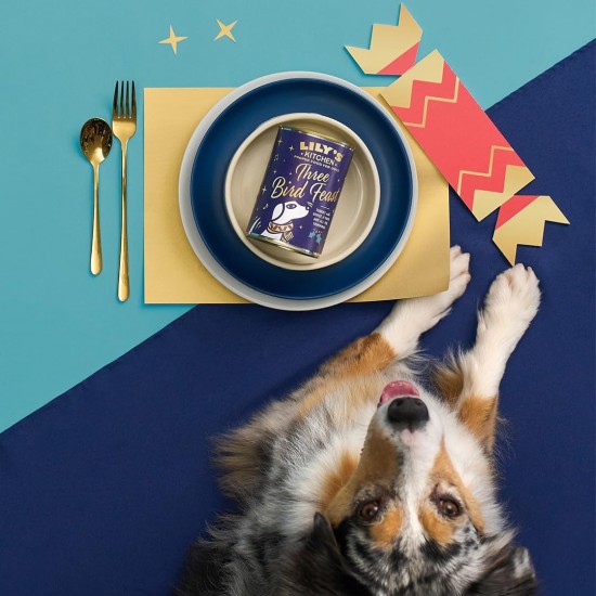 Lily's Kitchen Wet Food for Adult Dogs with Natural Ingredients - Tin - Feast with Three Types of Poultry for Small, Medium and Large Dogs 6 x 400 g Lily's Kitchen Wet Food for Adult Dogs with Natural Ingredients - Tin - Feast with Three Types of Poultry for Small, Medium and Large Dogs 6 x 400 g