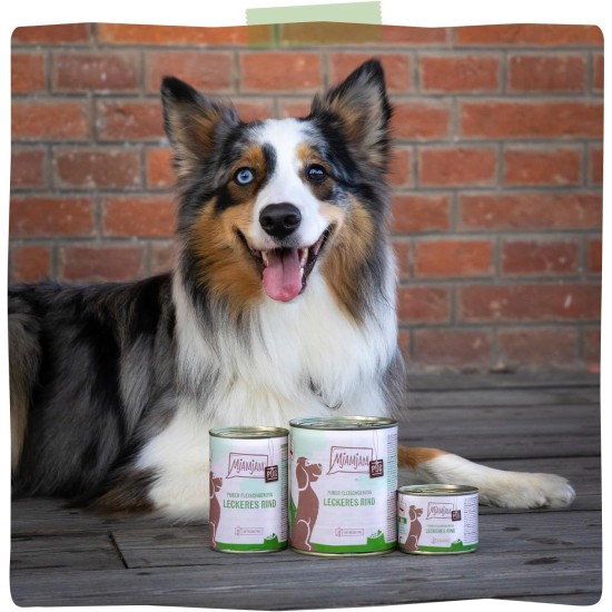 MjAMjAM - Premium Wet Food for Dogs - Pure Meat Enjoyment - Delicious Pure Beef, Pack of 6 (6 x 400 g), Grain-Free with Extra Meat MjAMjAM - Premium Wet Food for Dogs - Pure Meat Enjoyment - Delicious Pure Beef, Pack of 6 (6 x 400 g), Grain-Free with Extra Meat