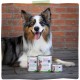 MjAMjAM - Premium Wet Food for Dogs - Pure Meat Enjoyment - Delicious Pure Beef, Pack of 6 (6 x 400 g), Grain-Free with Extra Meat MjAMjAM - Premium Wet Food for Dogs - Pure Meat Enjoyment - Delicious Pure Beef, Pack of 6 (6 x 400 g), Grain-Free with Extra Meat