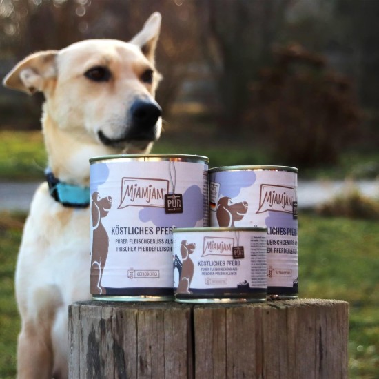 MjAMjAM - Premium Wet Food for Dogs - Pure Meat Enjoyment - Delicious Pure Horse, Pack of 6 (6 x 400 g), Grain-Free with Extra Meat MjAMjAM - Premium Wet Food for Dogs - Pure Meat Enjoyment - Delicious Pure Horse, Pack of 6 (6 x 400 g), Grain-Free with Extra Meat