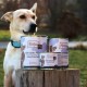 MjAMjAM - Premium Wet Food for Dogs - Pure Meat Enjoyment - Delicious Pure Horse, Pack of 6 (6 x 400 g), Grain-Free with Extra Meat MjAMjAM - Premium Wet Food for Dogs - Pure Meat Enjoyment - Delicious Pure Horse, Pack of 6 (6 x 400 g), Grain-Free with Extra Meat