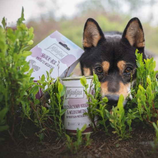 MjAMjAM - Premium Wet Food for Dogs - Pure Meat Enjoyment - Delicious Pure Horse, Pack of 6 (6 x 800 g), Grain-Free with Extra Meat MjAMjAM - Premium Wet Food for Dogs - Pure Meat Enjoyment - Delicious Pure Horse, Pack of 6 (6 x 800 g), Grain-Free with Extra Meat