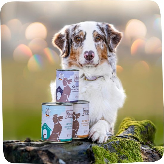 MjAMjAM - Premium Wet Food for Dogs - Pure Meat Enjoyment - Good Turkey Pure 800 g, Pack of 6 (6 x 800 g), Natural with Extra Meat MjAMjAM - Premium Wet Food for Dogs - Pure Meat Enjoyment - Good Turkey Pure 800 g, Pack of 6 (6 x 800 g), Natural with Extra Meat
