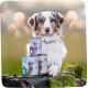 MjAMjAM - Premium Wet Food for Dogs - Pure Meat Enjoyment - Good Turkey Pure 800 g, Pack of 6 (6 x 800 g), Natural with Extra Meat MjAMjAM - Premium Wet Food for Dogs - Pure Meat Enjoyment - Good Turkey Pure 800 g, Pack of 6 (6 x 800 g), Natural with Extra Meat