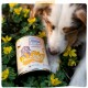 MjAMjAM - Premium Wet Food for Dogs - Wellness - Digestion - Turkey, Pack of 6 (6 x 200 g), Grain-Free MjAMjAM - Premium Wet Food for Dogs - Wellness - Digestion - Turkey, Pack of 6 (6 x 200 g), Grain-Free