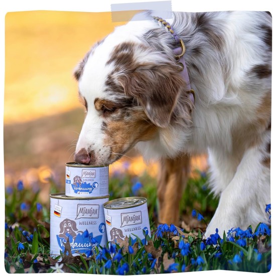 MjAMjAM - Premium Wet Food for Dogs - Wellness - Digestion - Turkey, Pack of 6 (6 x 200 g), Grain-Free MjAMjAM - Premium Wet Food for Dogs - Wellness - Digestion - Turkey, Pack of 6 (6 x 200 g), Grain-Free