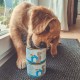 MjAMjAM - Premium wet food for dogs - Mix package II - with chicken & duck, beef, turkey, veal, turkey, lamb, 6-pack (6 x 400 g), grain-free with extra meat MjAMjAM - Premium wet food for dogs - Mix package II - with chicken & duck, beef, turkey, veal, turkey, lamb, 6-pack (6 x 400 g), grain-free with extra meat