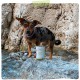 MjAMjAM - Premium wet food for dogs - Mix package II - with chicken & duck, beef, turkey, veal, turkey, lamb, 6-pack (6 x 400 g), grain-free with extra meat MjAMjAM - Premium wet food for dogs - Mix package II - with chicken & duck, beef, turkey, veal, turkey, lamb, 6-pack (6 x 400 g), grain-free with extra meat