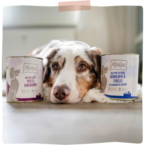 MjAMjAM - Premium wet food for dogs - Mix package II - with chicken & duck, beef, turkey, veal, turkey, lamb, 6-pack (6 x 400 g), grain-free with extra meat MjAMjAM - Premium wet food for dogs - Mix package II - with chicken & duck, beef, turkey, veal, turkey, lamb, 6-pack (6 x 400 g), grain-free with extra meat