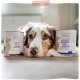 MjAMjAM - Premium wet food for dogs - Mix package II - with chicken & duck, beef, turkey, veal, turkey, lamb, 6-pack (6 x 400 g), grain-free with extra meat MjAMjAM - Premium wet food for dogs - Mix package II - with chicken & duck, beef, turkey, veal, turkey, lamb, 6-pack (6 x 400 g), grain-free with extra meat