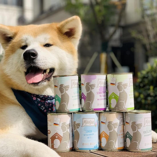 MjAMjAM - Premium wet food for dogs - delicious beef on cooked potatoes with crisp peas, 1 pack (1 x 800 g), grain-free with extra meat MjAMjAM - Premium wet food for dogs - delicious beef on cooked potatoes with crisp peas, 1 pack (1 x 800 g), grain-free with extra meat