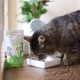 MjAMjAM - Premium wet food for dogs - delicious beef on cooked potatoes with crisp peas, 1 pack (1 x 800 g), grain-free with extra meat MjAMjAM - Premium wet food for dogs - delicious beef on cooked potatoes with crisp peas, 1 pack (1 x 800 g), grain-free with extra meat