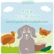 MjAMjAM - Premium wet food for dogs - juicy chicken with delicate duck on carrots and boiled millet, 1 pack (1 x 400 g), grain-free with extra meat MjAMjAM - Premium wet food for dogs - juicy chicken with delicate duck on carrots and boiled millet, 1 pack (1 x 400 g), grain-free with extra meat