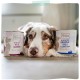 MjAMjAM - Premium wet food for dogs - juicy chicken with delicate duck on carrots and boiled millet, 1 pack (1 x 400 g), grain-free with extra meat MjAMjAM - Premium wet food for dogs - juicy chicken with delicate duck on carrots and boiled millet, 1 pack (1 x 400 g), grain-free with extra meat