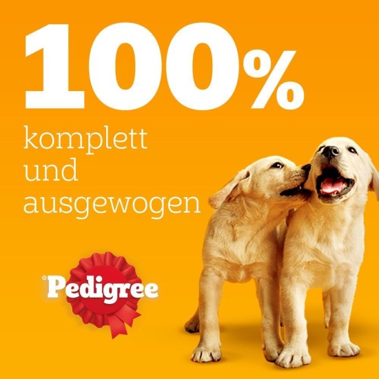 PEDIGREE Dogcare Dog Food Portion Bag Chunks in Jelly Junior 84 x 100 g PEDIGREE Dogcare Dog Food Portion Bag Chunks in Jelly Junior 84 x 100 g