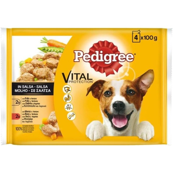 PEDIGREE Pouch - Chicken, Beef and Vegetables in Gravy - Wet Food for Adult Dogs - 13 Multipacks of 4 x 100 g Bags PEDIGREE Pouch - Chicken, Beef and Vegetables in Gravy - Wet Food for Adult Dogs - 13 Multipacks of 4 x 100 g Bags