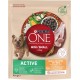 PURINA ONE Mini/Small Active Wet Dog Food for Small Dogs, Rich in Beef & Vegetables, Pack of 26 (26 x 85 g) PURINA ONE Mini/Small Active Wet Dog Food for Small Dogs, Rich in Beef & Vegetables, Pack of 26 (26 x 85 g)