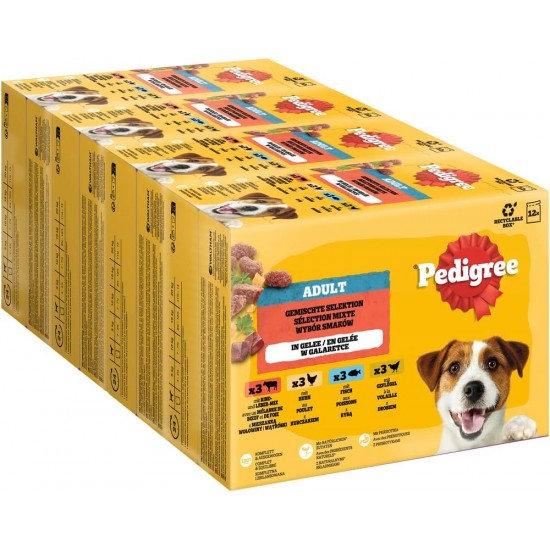 Pedigree Dogcare Dog Food Portion Bag Chunks in Jelly Senior 84 x 100 g Pedigree Dogcare Dog Food Portion Bag Chunks in Jelly Senior 84 x 100 g