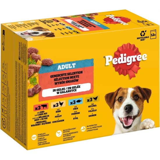 Pedigree Dogcare Dog Food Portion Bag Chunks in Jelly Senior 84 x 100 g Pedigree Dogcare Dog Food Portion Bag Chunks in Jelly Senior 84 x 100 g