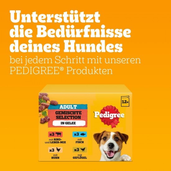 Pedigree Dogcare Dog Food Portion Bag Chunks in Jelly Senior 84 x 100 g Pedigree Dogcare Dog Food Portion Bag Chunks in Jelly Senior 84 x 100 g