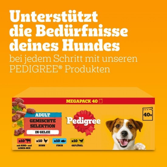 Pedigree Dogcare Dog Food Portion Bag Chunks in Jelly Senior 84 x 100 g Pedigree Dogcare Dog Food Portion Bag Chunks in Jelly Senior 84 x 100 g