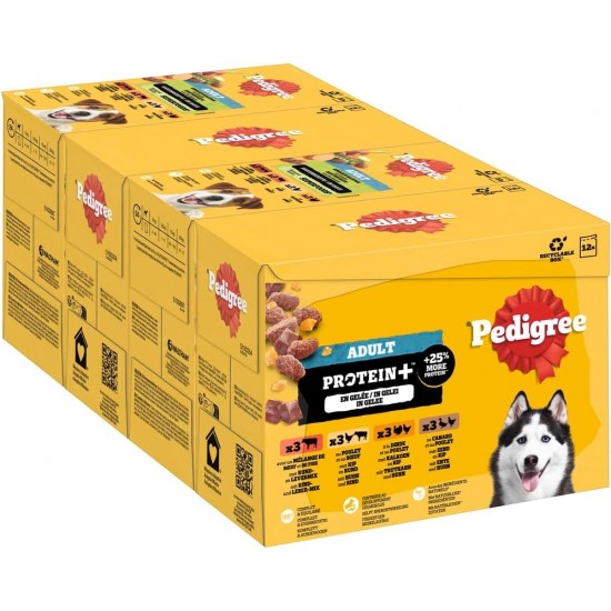 Pedigree Dogcare Dog Food Portion Bag Chunks in Jelly Senior 84 x 100 g Pedigree Dogcare Dog Food Portion Bag Chunks in Jelly Senior 84 x 100 g