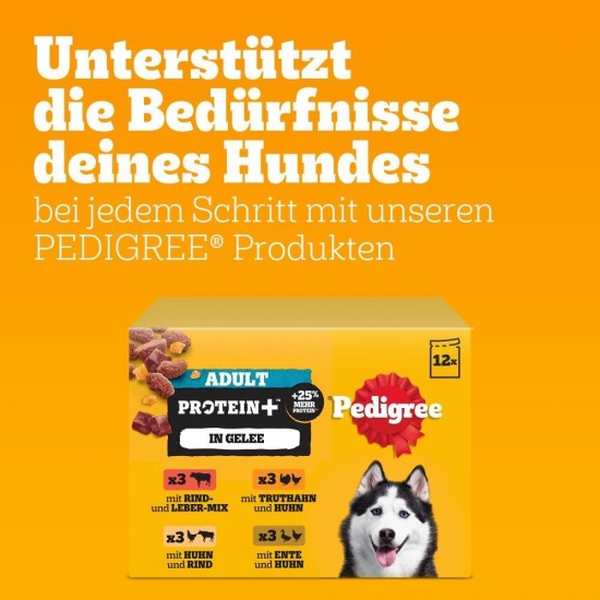 Pedigree Dogcare Dog Food Portion Bag Chunks in Jelly Senior 84 x 100 g Pedigree Dogcare Dog Food Portion Bag Chunks in Jelly Senior 84 x 100 g