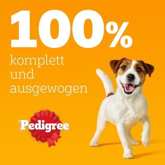 Pedigree Junior Selection Jelly Fresh Bag - Junior Dog Food - 4 Different Flavours - 48 Bags of 100 g Pedigree Junior Selection Jelly Fresh Bag - Junior Dog Food - 4 Different Flavours - 48 Bags of 100 g