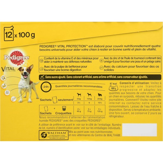 Pedigree Junior Selection Jelly Fresh Bag - Junior Dog Food - 4 Different Flavours - 48 Bags of 100 g Pedigree Junior Selection Jelly Fresh Bag - Junior Dog Food - 4 Different Flavours - 48 Bags of 100 g