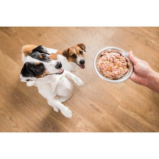 Schesir Dog Chicken Fillet with Ham, Dog Food Wet 18 Tins x 150g Schesir Dog Chicken Fillet with Ham, Dog Food Wet 18 Tins x 150g