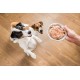 Schesir Dog Chicken Fillet with Ham, Dog Food Wet 18 Tins x 150g Schesir Dog Chicken Fillet with Ham, Dog Food Wet 18 Tins x 150g