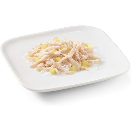 Schesir Dog Fruit Chicken Fillet with Papaya, Dog Food Wet with Fruit, 18 Tins x 150 g Schesir Dog Fruit Chicken Fillet with Papaya, Dog Food Wet with Fruit, 18 Tins x 150 g