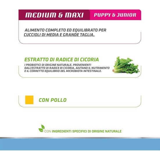 Trainer Natural Medium Maxi Wet Dog Food with Chicken, 12 x 400 g - 3.6 kg Trainer Natural Medium Maxi Wet Dog Food with Chicken, 12 x 400 g - 3.6 kg