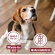 Wet Dog Food - N° 4 Chicken & Pheasant - Delicatessen Wet Food for Dogs & Puppies - Grain-Free & Sugar-Free - High Meat Content, 12 x 100 g Bags Wet Dog Food - N° 4 Chicken & Pheasant - Delicatessen Wet Food for Dogs & Puppies - Grain-Free & Sugar-Free - High Meat Content, 12 x 100 g Bags
