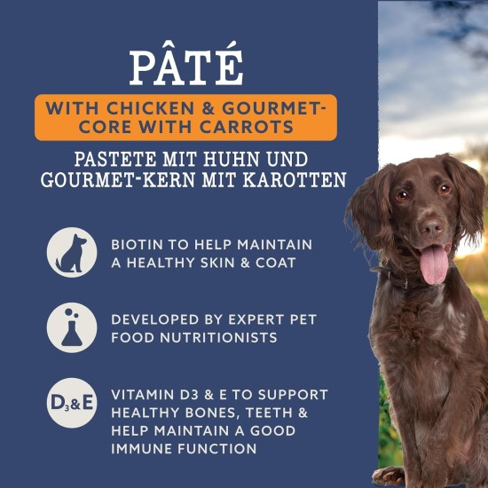 by Amazon 10 x Wet Dog Food with Chicken and Gourmet Core with Carrots and Pasta 300g (Previously Lifelong) by Amazon 10 x Wet Dog Food with Chicken and Gourmet Core with Carrots and Pasta 300g (Previously Lifelong)