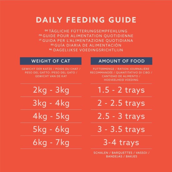 by Amazon 10 x Wet Dog Food with Chicken and Gourmet Core with Carrots and Pasta 300g (Previously Lifelong) by Amazon 10 x Wet Dog Food with Chicken and Gourmet Core with Carrots and Pasta 300g (Previously Lifelong)