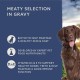 by Amazon Complete Food for Adult Dogs, Meat Selection in Sauce, 4.8 kg (48 Packs of 100 g) by Amazon Complete Food for Adult Dogs, Meat Selection in Sauce, 4.8 kg (48 Packs of 100 g)