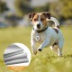30 STK Edelstahl Anhänger Blanko Hundemarken, Metall Edelstahl Schlüsselanhänger Rohlinge, Leere Anhänger Beschriftbar Gravur für DIY Cat Dog Tags, + 30 Schlüsselringe (15 runde, 15 rechteckige) 30 STK Edelstahl Anhänger Blanko Hundemarken, Metall Edelstahl Schlüsselanhänger Rohlinge, Leere Anhänger Beschriftbar Gravur für DIY Cat Dog Tags, + 30 Schlüsselringe (15 runde, 15 rechteckige)