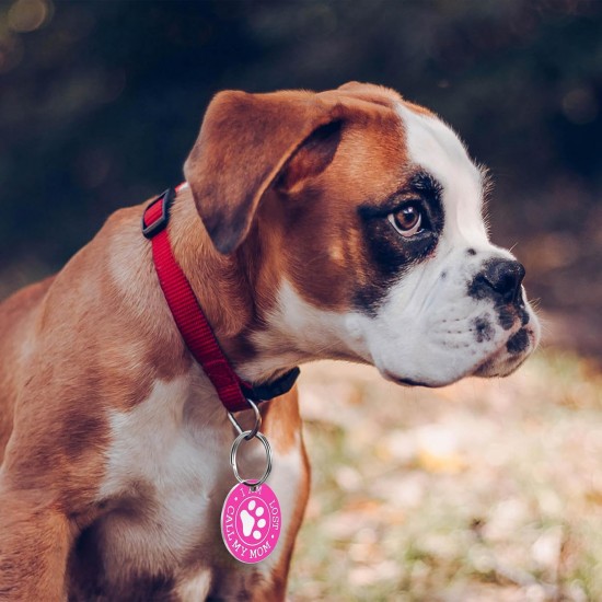 30 STK Edelstahl Anhänger Blanko Hundemarken, Metall Edelstahl Schlüsselanhänger Rohlinge, Leere Anhänger Beschriftbar Gravur für DIY Cat Dog Tags, + 30 Schlüsselringe (15 runde, 15 rechteckige) 30 STK Edelstahl Anhänger Blanko Hundemarken, Metall Edelstahl Schlüsselanhänger Rohlinge, Leere Anhänger Beschriftbar Gravur für DIY Cat Dog Tags, + 30 Schlüsselringe (15 runde, 15 rechteckige)