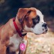 30 STK Edelstahl Anhänger Blanko Hundemarken, Metall Edelstahl Schlüsselanhänger Rohlinge, Leere Anhänger Beschriftbar Gravur für DIY Cat Dog Tags, + 30 Schlüsselringe (15 runde, 15 rechteckige) 30 STK Edelstahl Anhänger Blanko Hundemarken, Metall Edelstahl Schlüsselanhänger Rohlinge, Leere Anhänger Beschriftbar Gravur für DIY Cat Dog Tags, + 30 Schlüsselringe (15 runde, 15 rechteckige)