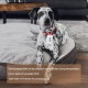 AIEX Pack of 15 Sublimation Blank Dog Tags, with 15 Ball Chains, 1 x Sublimation Band, Aluminium Dog Tags, Military for Stamping, Personalised DIY Dog Tag Necklaces (Total 31 Pieces)