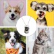 AIEX Pack of 15 Sublimation Blank Dog Tags, with 15 Ball Chains, 1 x Sublimation Band, Aluminium Dog Tags, Military for Stamping, Personalised DIY Dog Tag Necklaces (Total 31 Pieces)