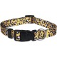 ASTORPET | Adjustable Dog Collar, Soft and Durable for Small Medium Large Dogs, Buckle with Safety Clasp, Jaque Model - Large