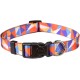 ASTORPET | Adjustable Dog Collar, Soft and Durable for Small Medium Large Dogs, Buckle with Safety Clasp, Jaque Model - Large
