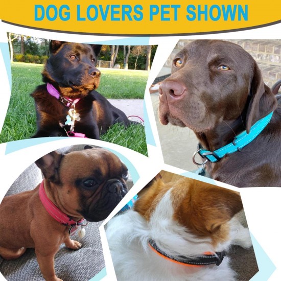 ATETEO Dog Collar, Reflective Adjustable Basic Dog Collar with Soft Neoprene Padding, Durable Nylon Pet Collars for Puppy Small Medium Large Dogs ATETEO Dog Collar, Reflective Adjustable Basic Dog Collar with Soft Neoprene Padding, Durable Nylon Pet Collars for Puppy Small Medium Large Dogs