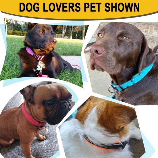 ATETEO Dog Collar, Reflective Adjustable Basic Dog Collar with Soft Neoprene Padding, Durable Nylon Pet Collars for Puppy Small Medium Large Dogs ATETEO Dog Collar, Reflective Adjustable Basic Dog Collar with Soft Neoprene Padding, Durable Nylon Pet Collars for Puppy Small Medium Large Dogs