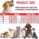 ATETEO Dog Collar, Reflective Adjustable Basic Dog Collar with Soft Neoprene Padding, Durable Nylon Pet Collars for Puppies Small Dogs ATETEO Dog Collar, Reflective Adjustable Basic Dog Collar with Soft Neoprene Padding, Durable Nylon Pet Collars for Puppies Small Dogs
