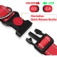 ATETEO Dog Collar, Reflective Adjustable Basic Dog Collar with Soft Neoprene Padding, Durable Nylon Pet Collars for Puppies Small Dogs ATETEO Dog Collar, Reflective Adjustable Basic Dog Collar with Soft Neoprene Padding, Durable Nylon Pet Collars for Puppies Small Dogs